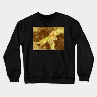 Macaw 17 Crewneck Sweatshirt